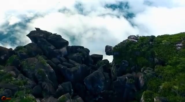 Порно видео виола